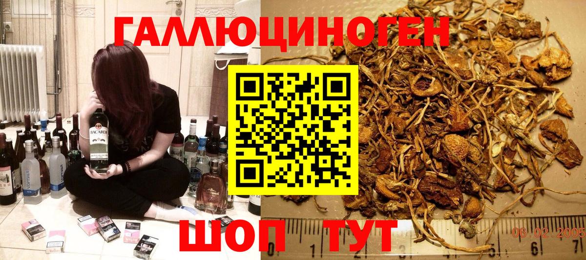 Мелеуз  Псилоцибиновые грибы GOLDEN TEACHER  Вход с VPN 