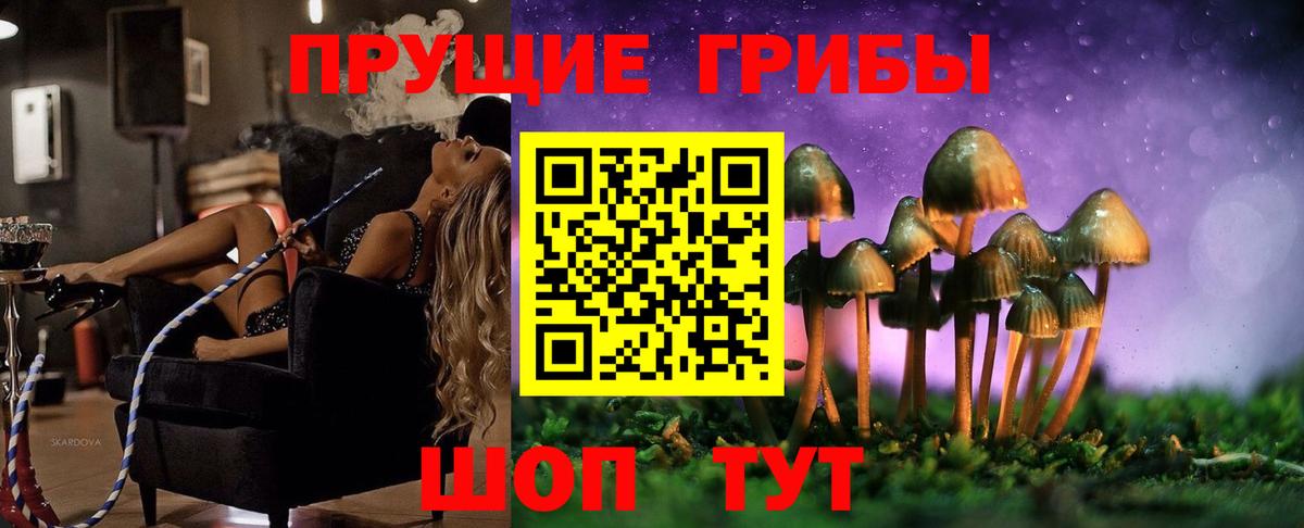 Псилоцибиновые грибы мицелий Мелеуз